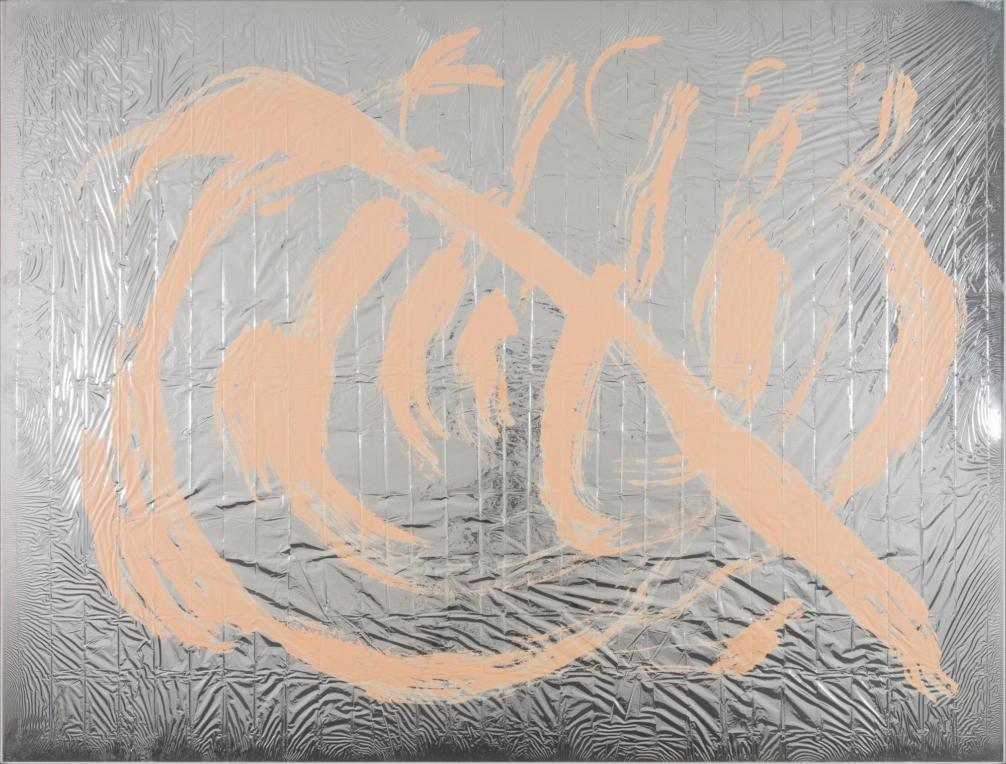 Pamela Rosenkranz - Express Nothing