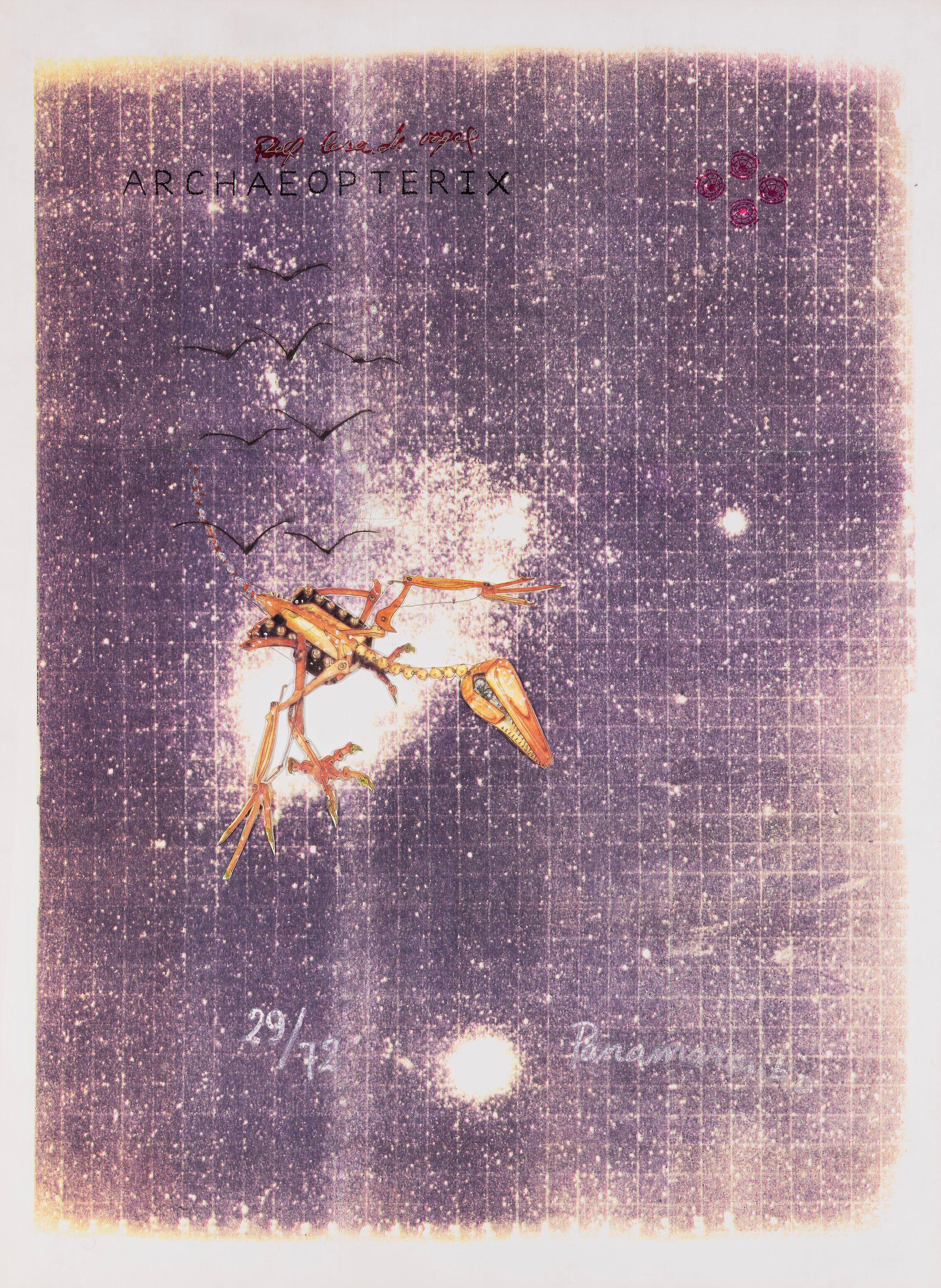 Panamarenko - Archaeopteryx, zelf lesen de vogel.