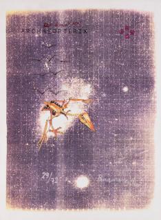 Panamarenko - Archaeopteryx, zelf lesen de vogel.