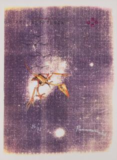 Panamarenko - Archaeopteryx, zelf lesen de vogel.