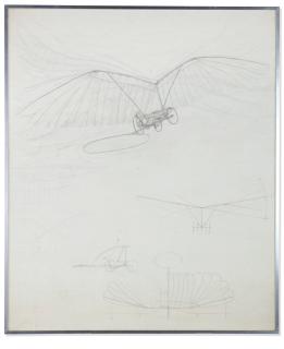 Panamarenko - Short Wing Span (Short Wing-Span)