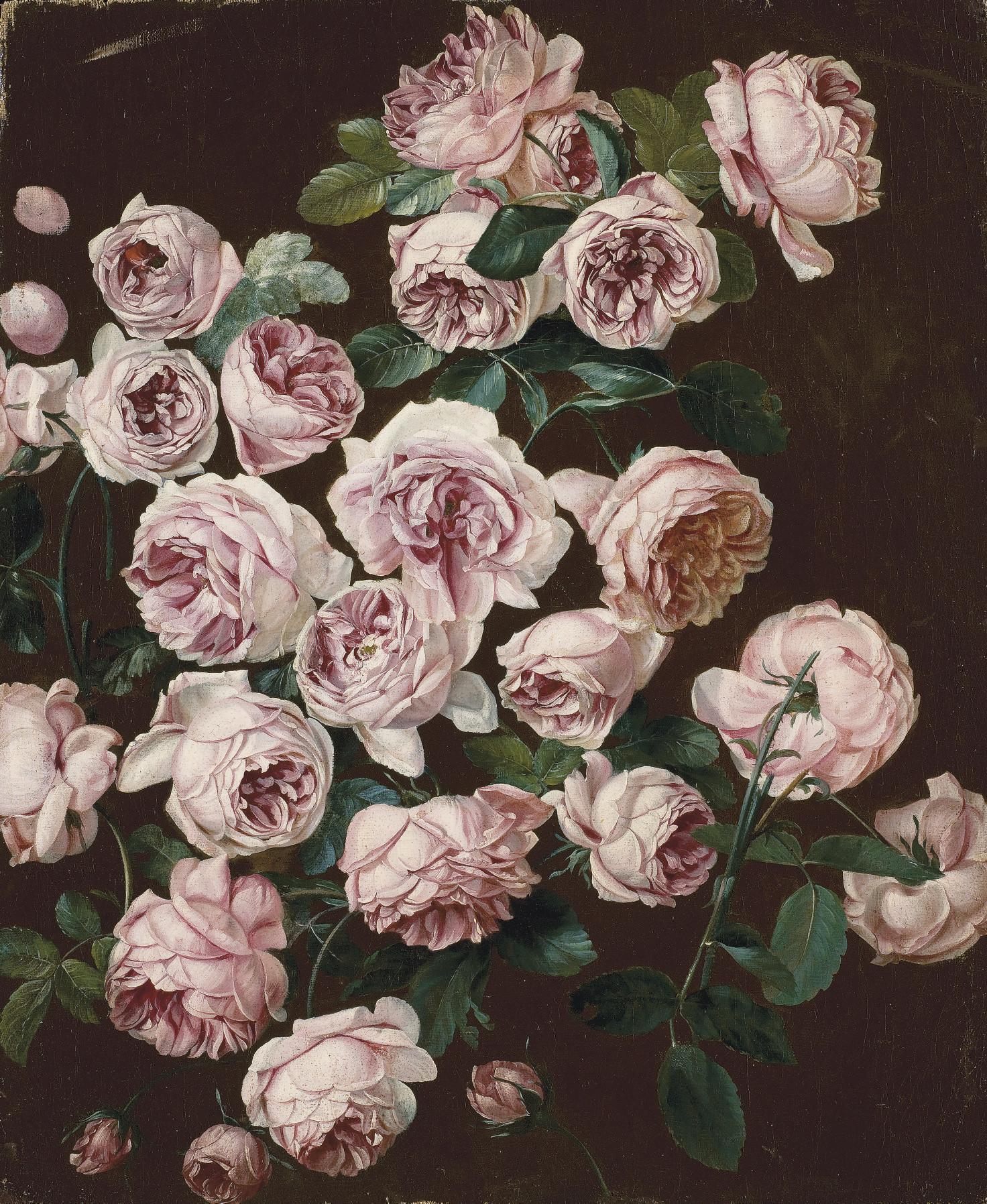 Pancrace Bessa - A rosebush