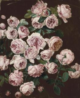 Pancrace Bessa - A rosebush