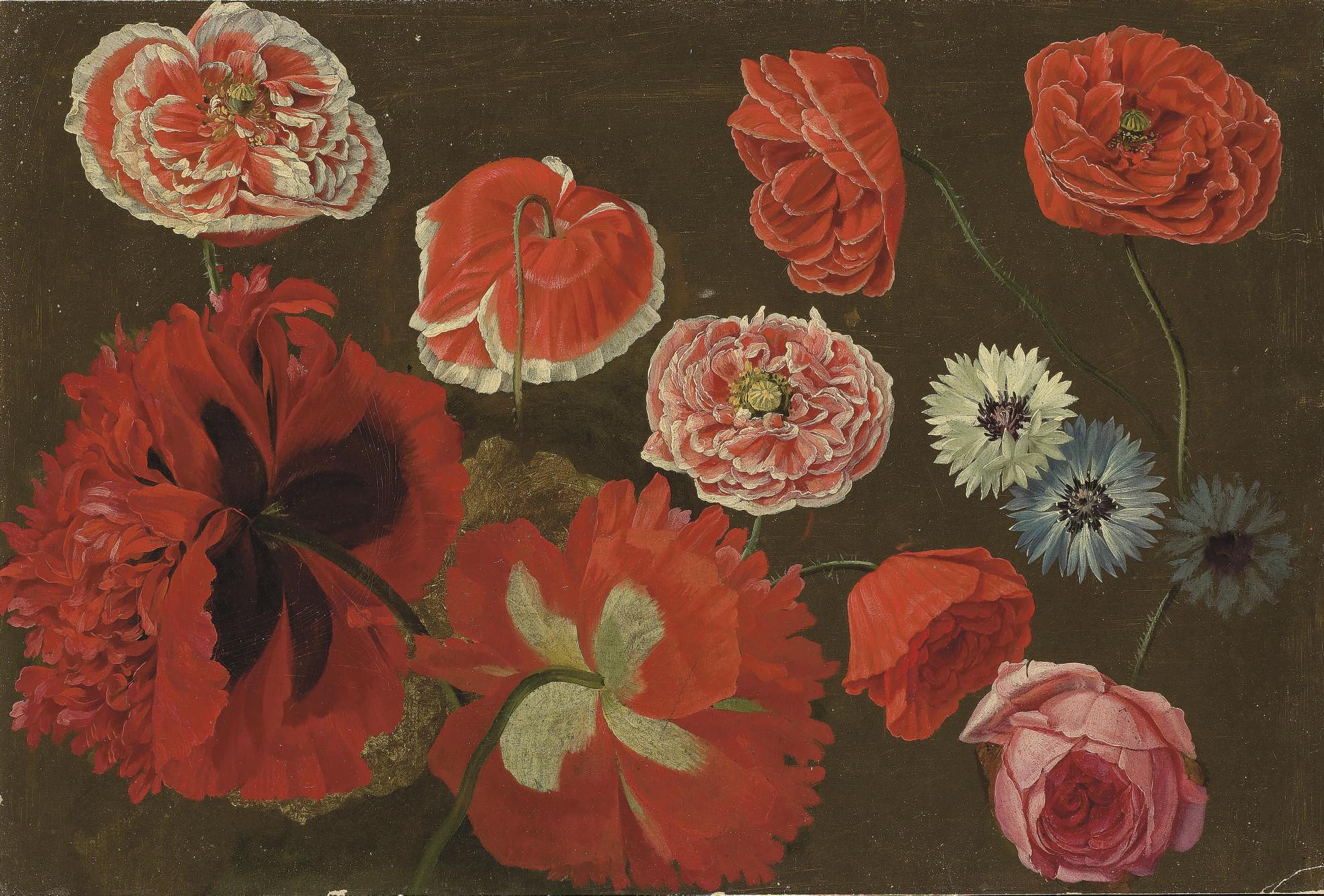 Pancrace Bessa - Red, pink and white poppies, cornflowers centaurea and a pink rose