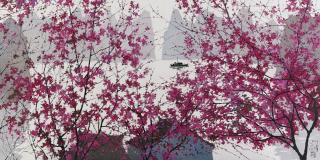 Pang Jiun - Fishing Boat Among Flowers