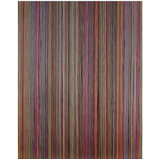 Paola Pivi - Untitled