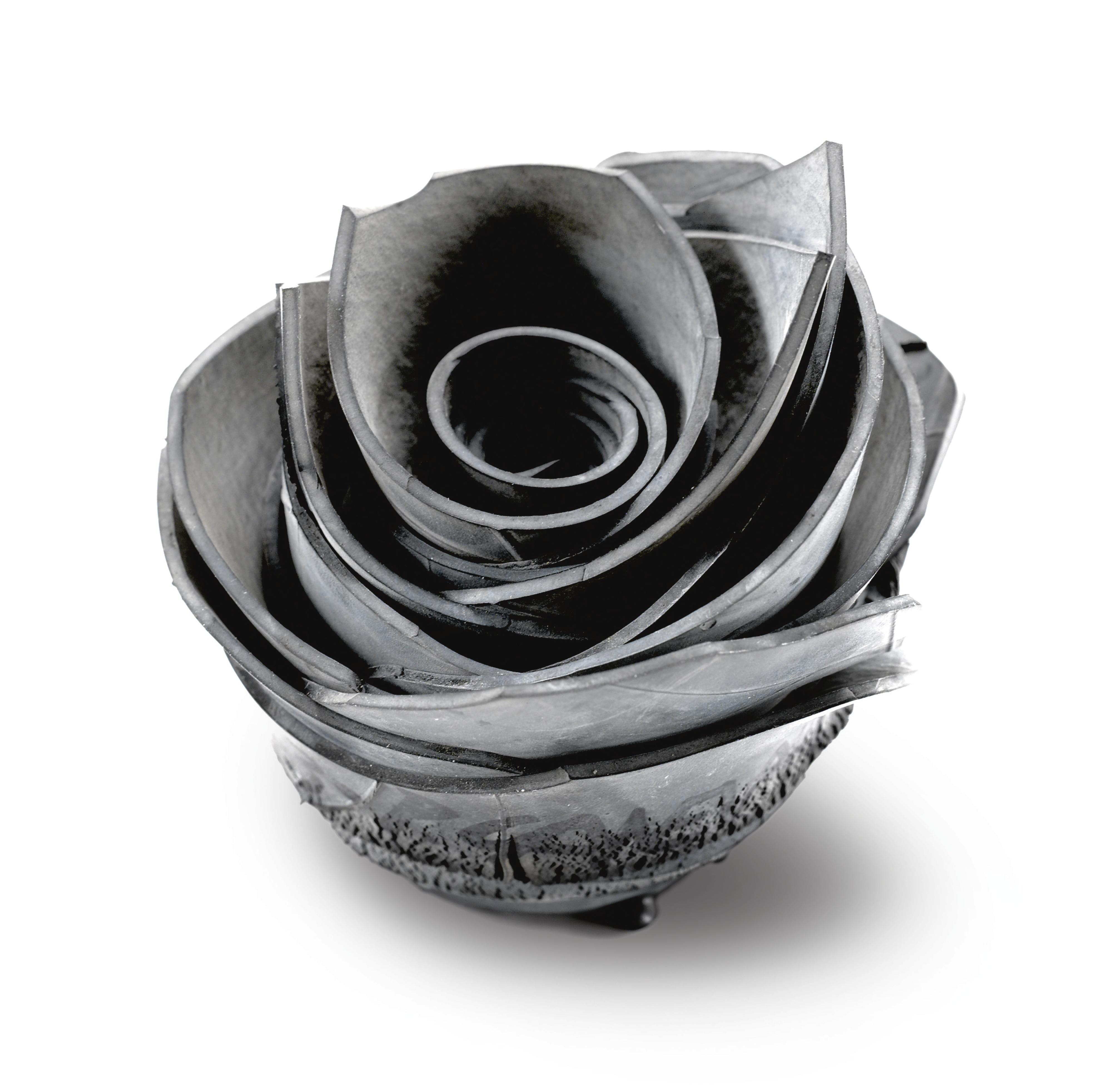 Paolo Canevari - Rosa