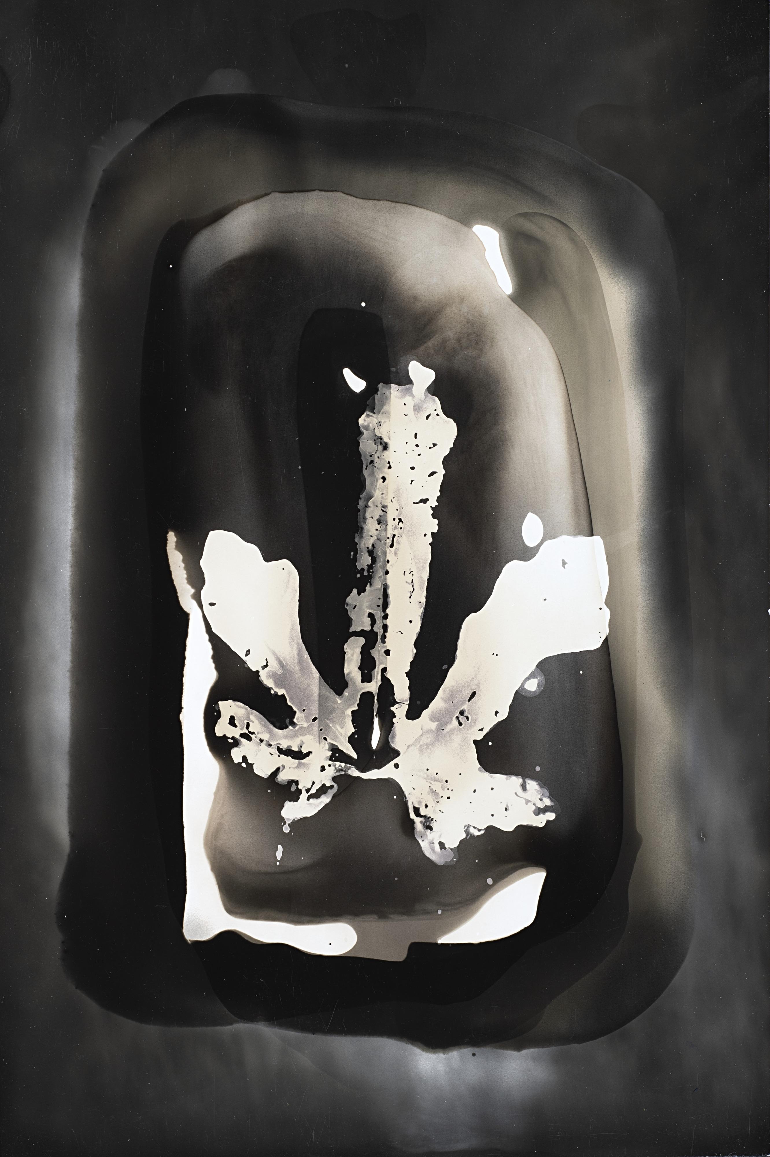 Paolo Monti - Chimigramma 1960 ca.