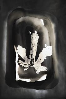 Paolo Monti - Chimigramma 1960 ca.