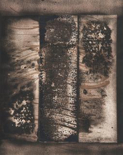 Paolo Monti - Chimigramma 1961