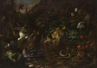 Paolo Porpora - A forest floor with a porcupine, rabbit, ducks, tortoises and a snake