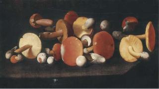 Paolo Porpora - Boletus, russulas and other mushrooms on a ledge