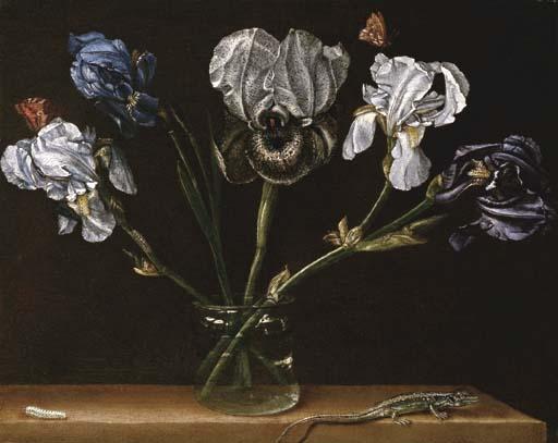 Paolo Porpora - Irises in a glass jar, a lizard and a caterpillar on a tabletop