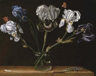 Paolo Porpora - Irises in a glass jar, a lizard and a caterpillar on a tabletop