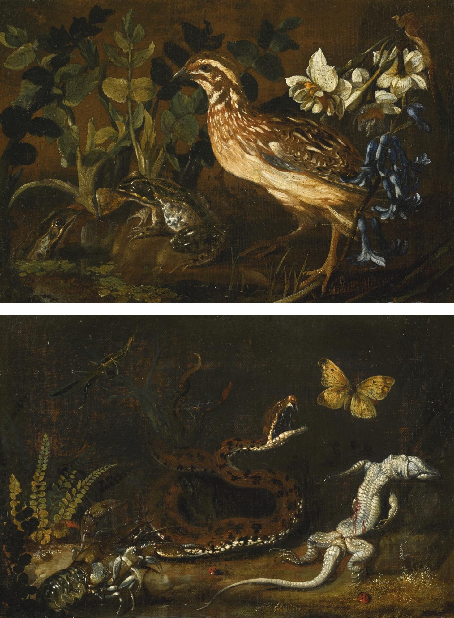 Paolo Porpora - Still Life Of A Forest Floor; Still Life With A European Quail