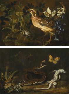 Paolo Porpora - Still Life Of A Forest Floor; Still Life With A European Quail
