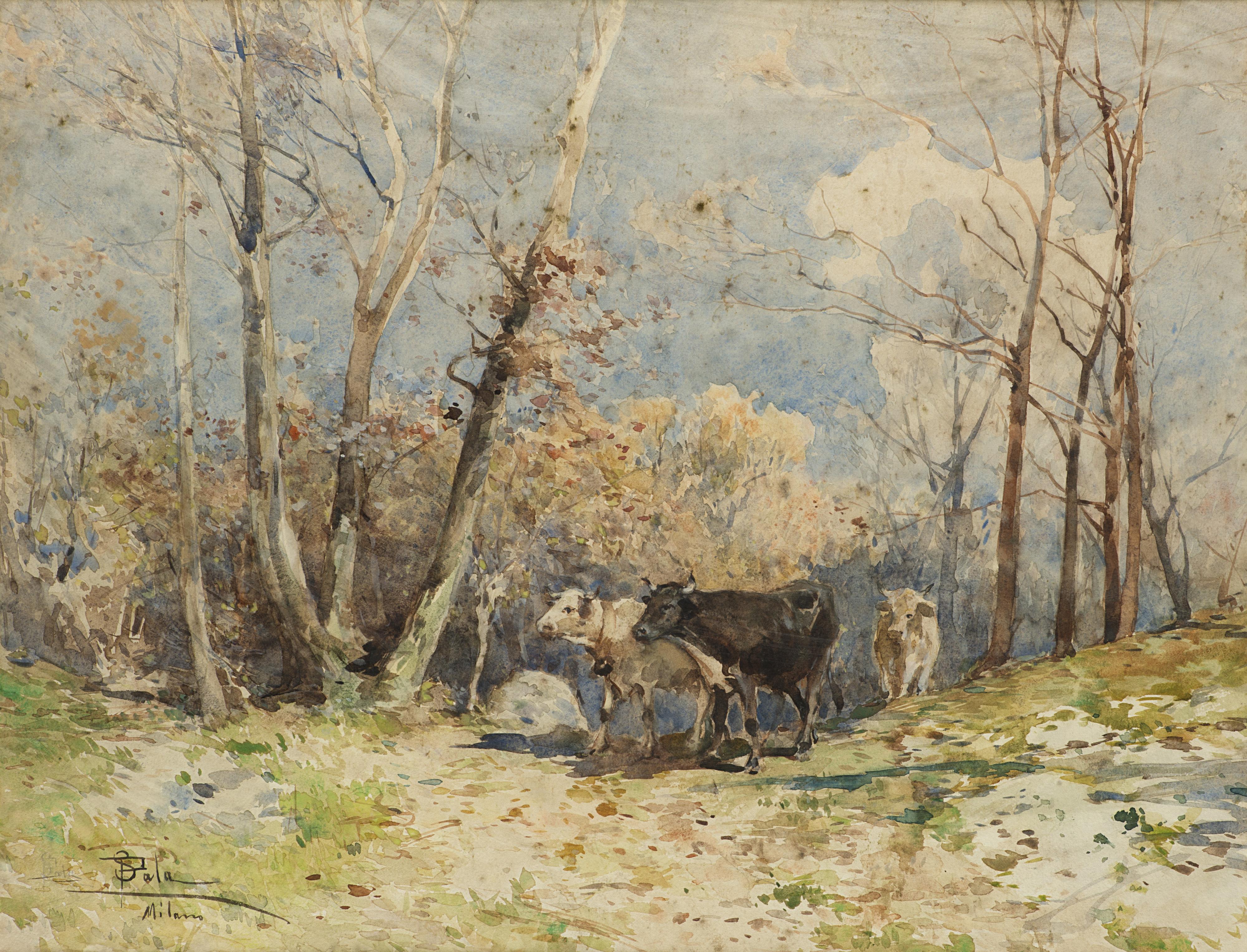 Paolo Sala - Paesaggio con mucche al pascolo