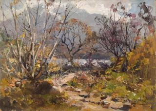 Paolo Sala - Scorcio del Lago di Mergozzo