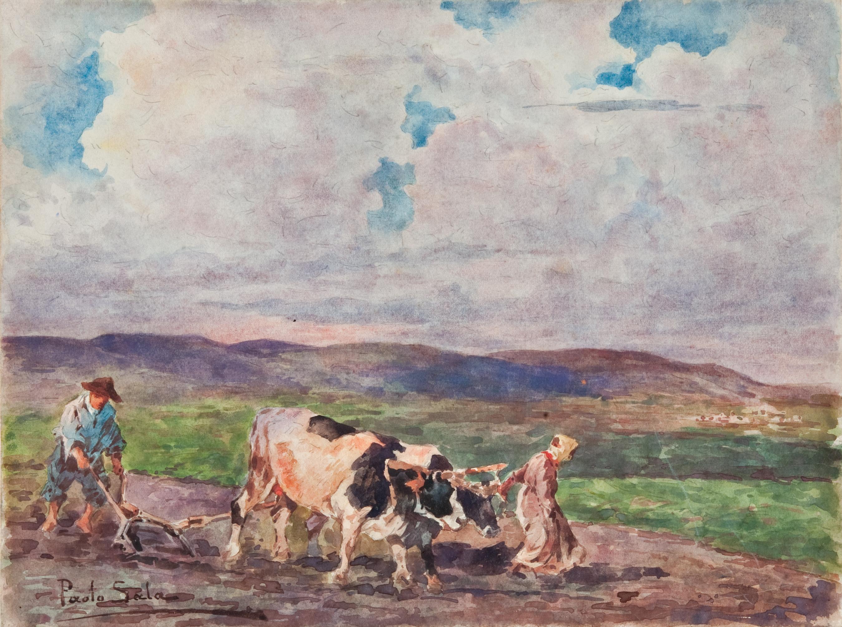 Paolo Sala - The Plowing