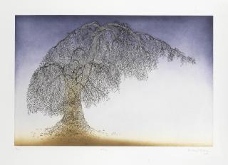 Paramjit Singh - A Tree