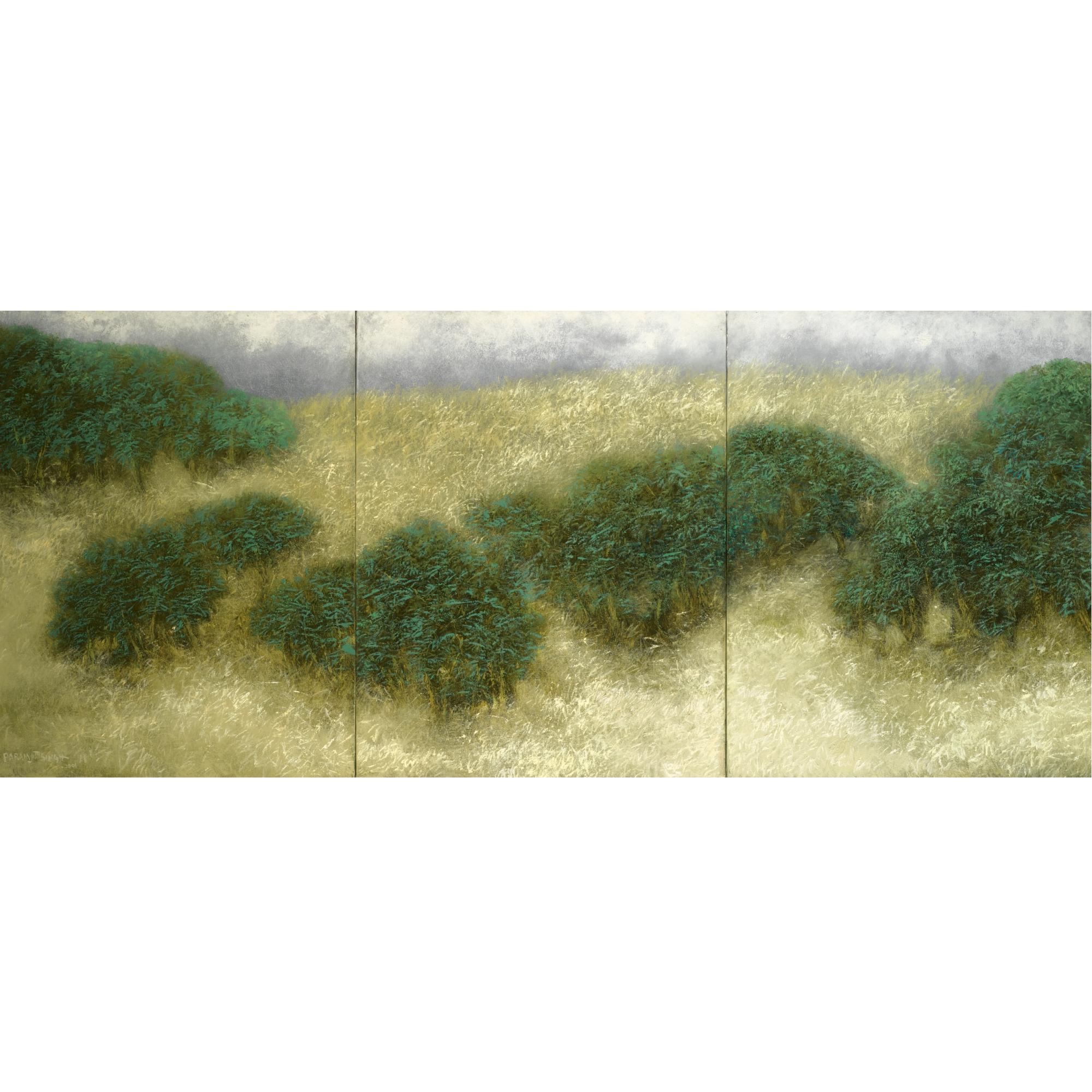 Paramjit Singh - \'Distant Plains\'