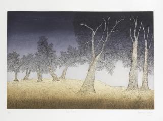 Paramjit Singh - Eight Trees