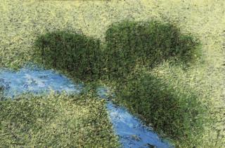 Paramjit Singh - Untitled