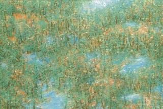 Paramjit Singh - Untitled