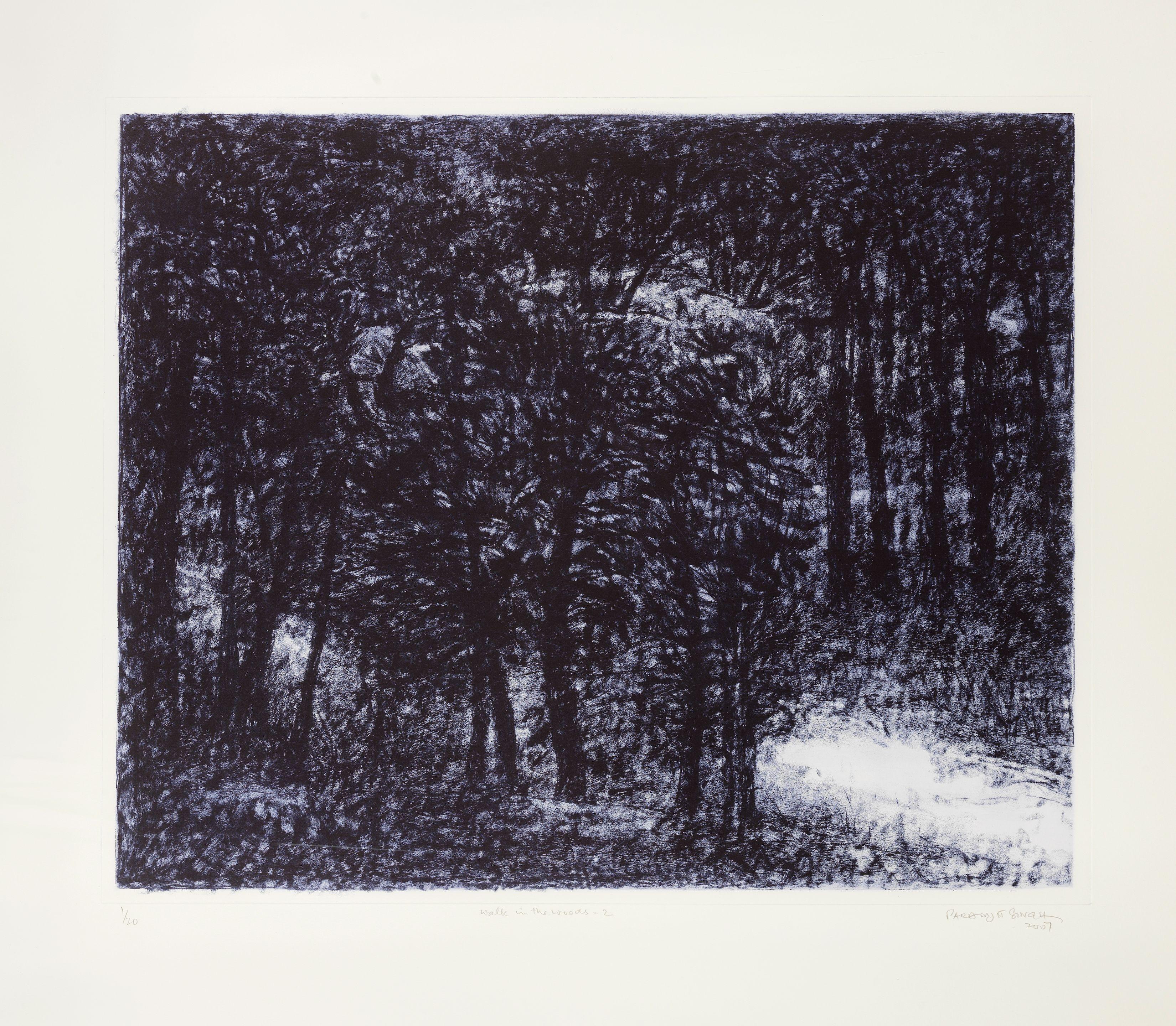 Paramjit Singh - Walk In The Woods-2