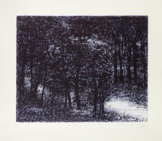 Paramjit Singh - Walk In The Woods-2