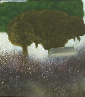 Paramjit Singh - White Grass