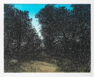 Paramjit Singh - Woods