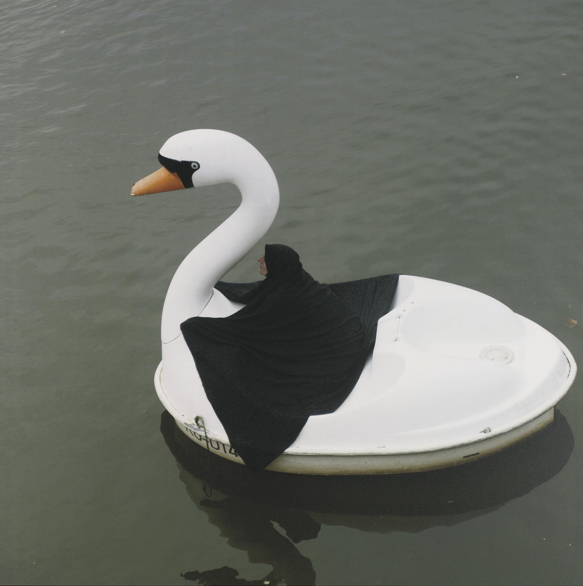 Parastou Forouhar - Swan Rider