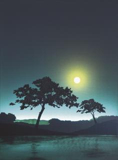 Park Jin-Won - Genesis I