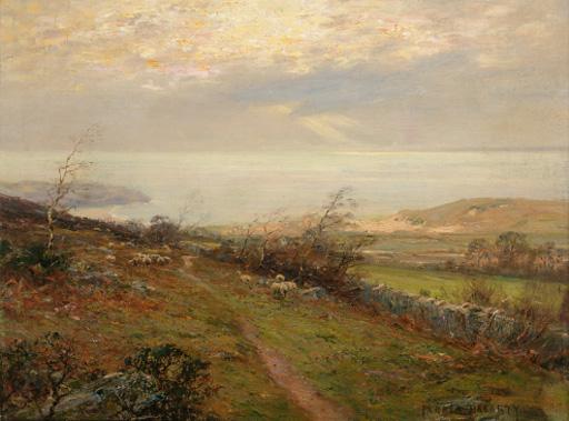 Parker Hagarty - Sheep grazing in a coastal landscape