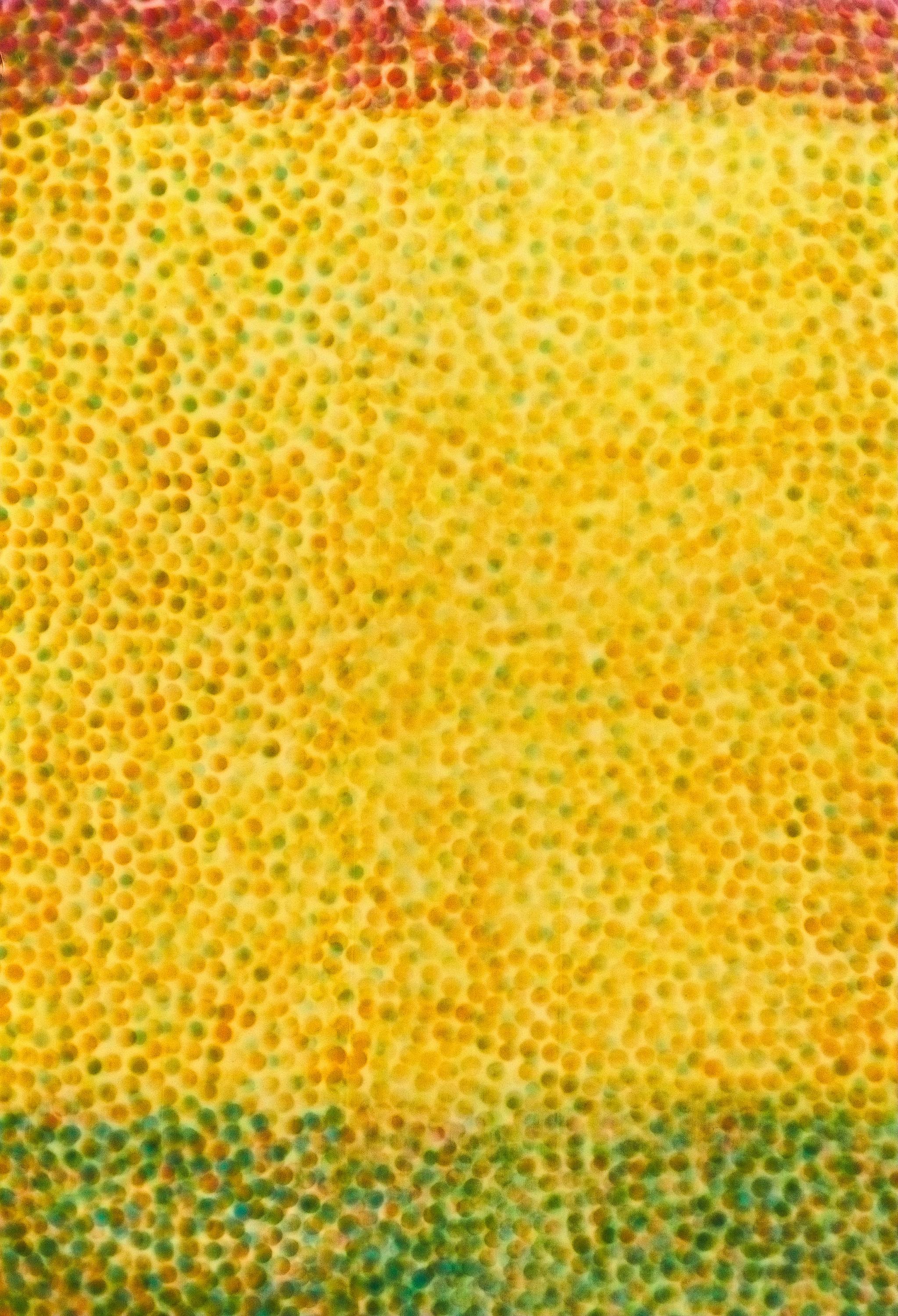 Parker Ito - Inkjet Painting #5 (8 Color Ink)