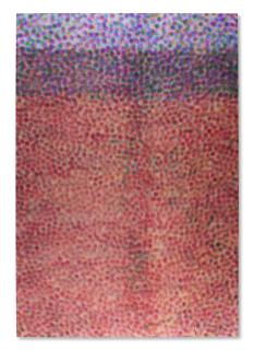 Parker Ito - Inkjet Painting