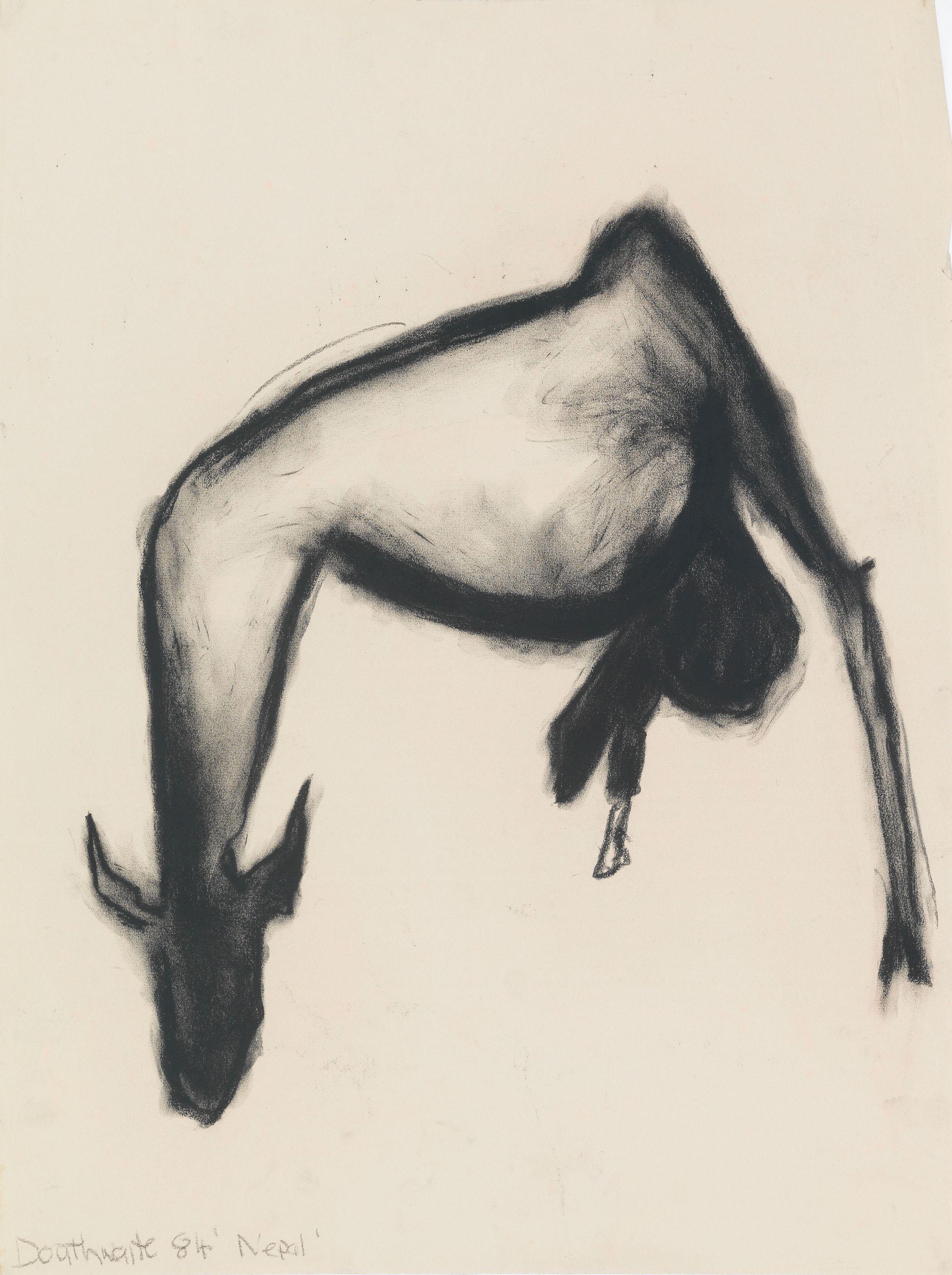 Pat Douthwaite - Goat