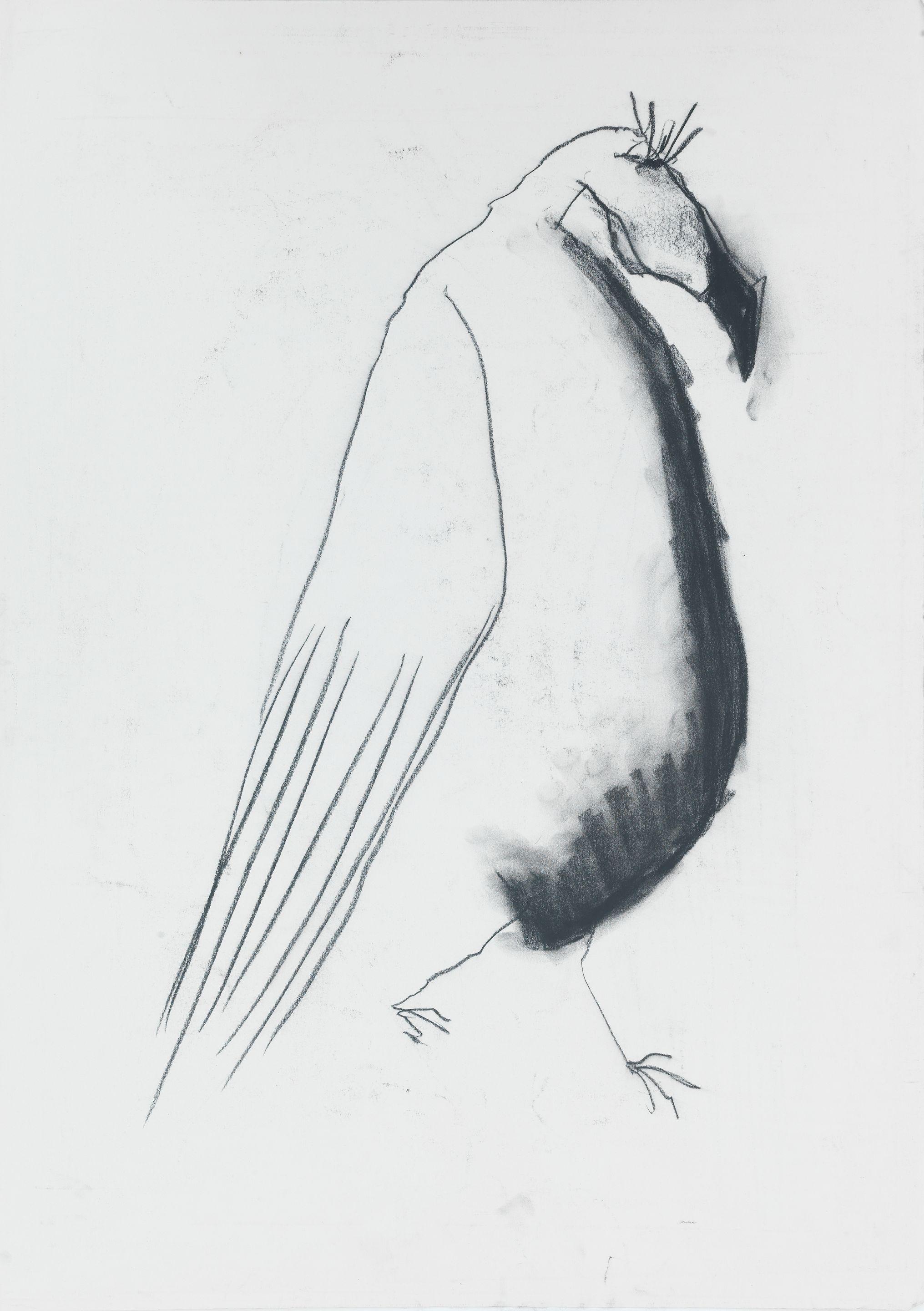 Pat Douthwaite - Walking vulture