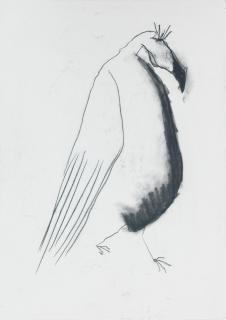 Pat Douthwaite - Walking vulture