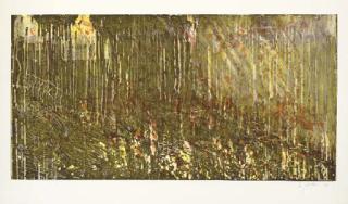 Pat Steir - Long Horizontal