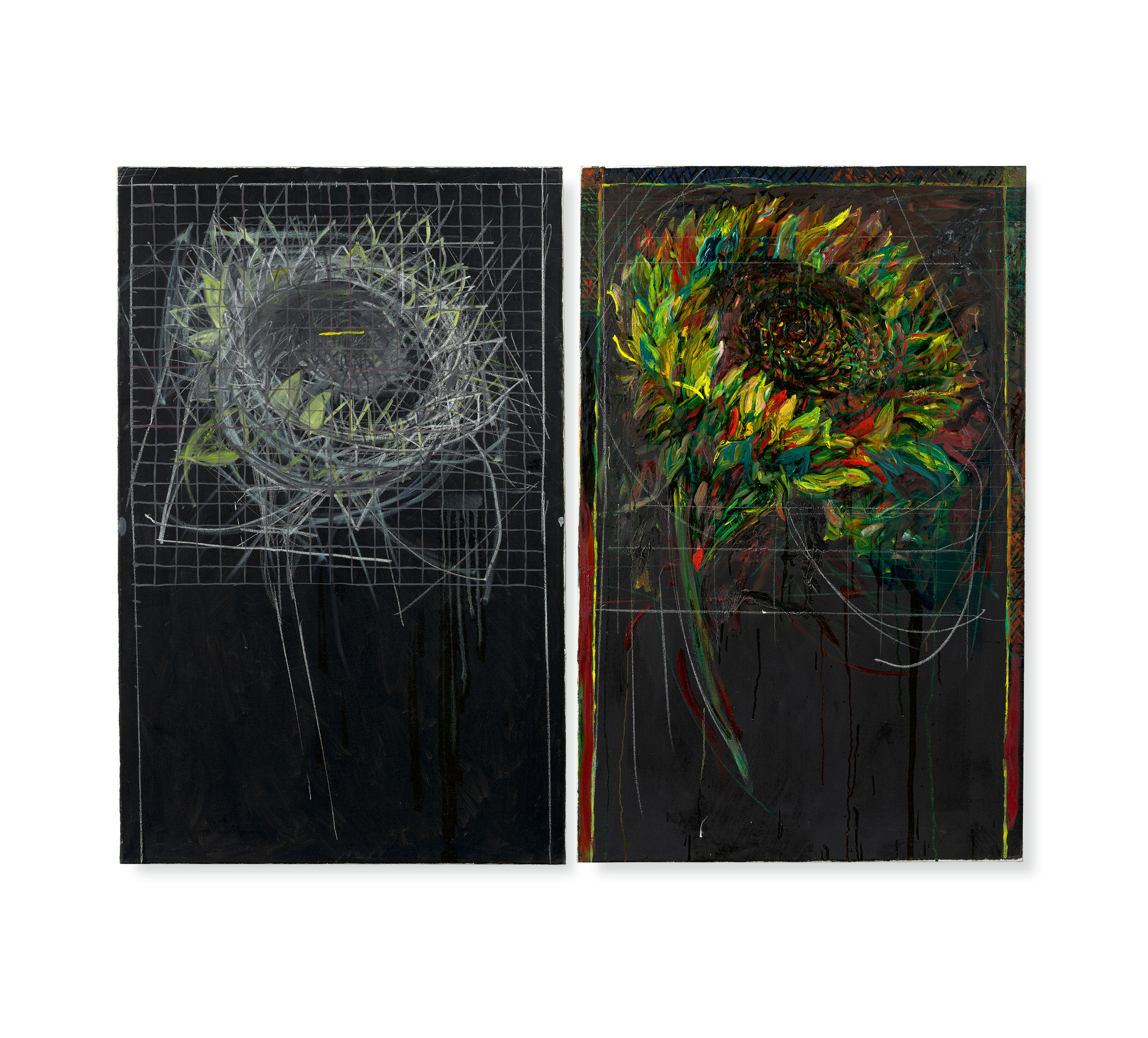 Pat Steir - Sunflower Drawing Lesson with Grid on Black