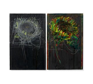 Pat Steir - Sunflower Drawing Lesson with Grid on Black