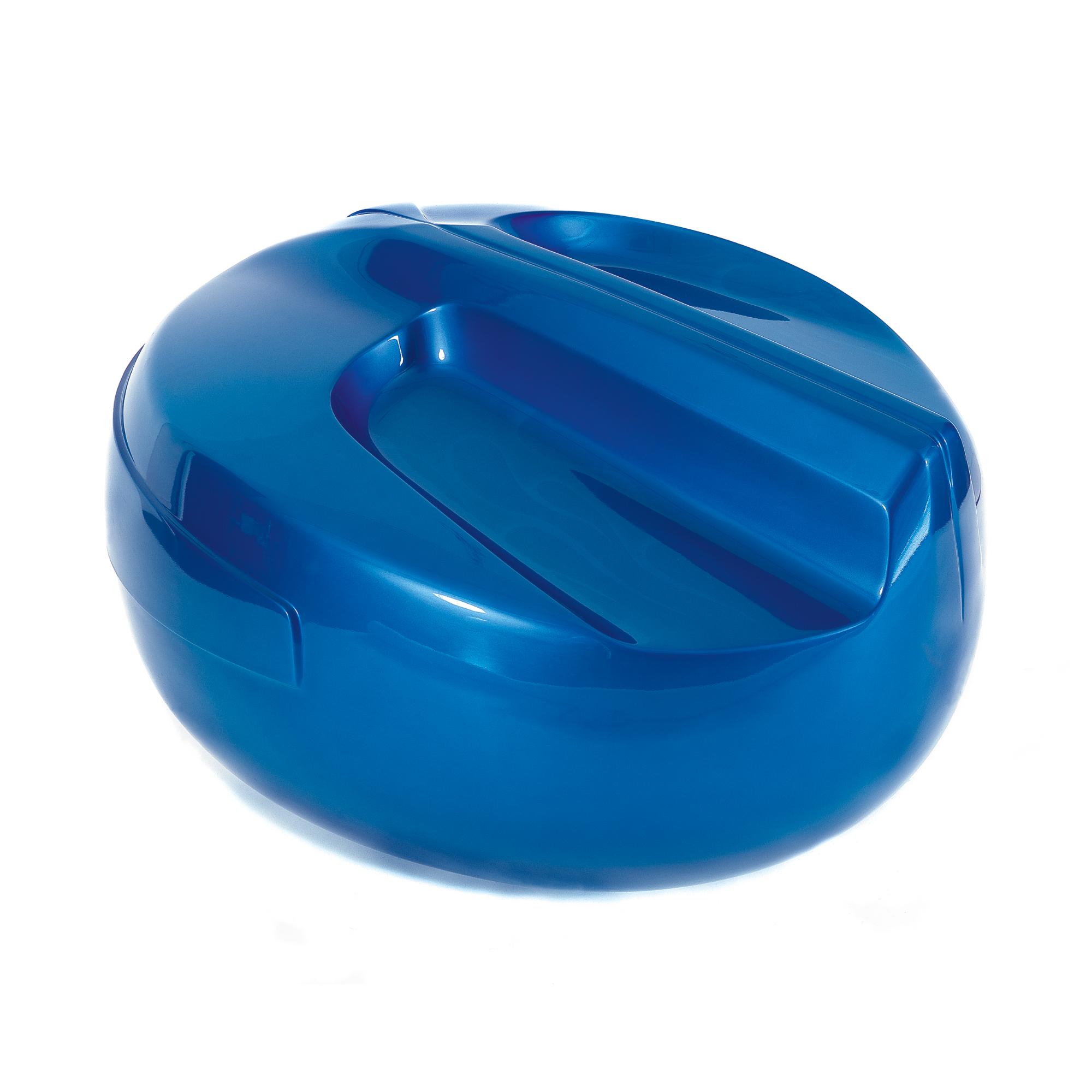 Patricia Piccinini - Australian Boy Racer