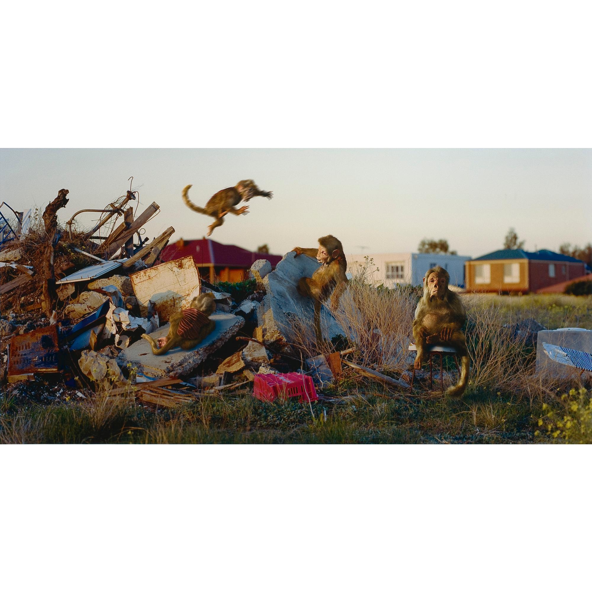 Patricia Piccinini - Australian Domain (While The Alpha Male Does Maintain A Strong Hierarchy, Juveniles Are Free To Playfully Interact) (From The Series Nature\'S Little Helpers)