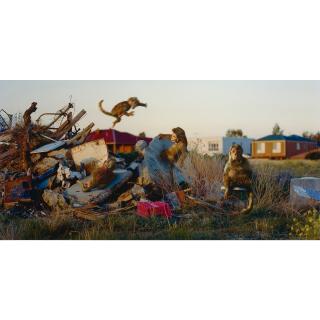 Patricia Piccinini - Australian Domain (While The Alpha Male Does Maintain A Strong Hierarchy, Juveniles Are Free To Playfully Interact) (From The Series Nature\'S Little Helpers)