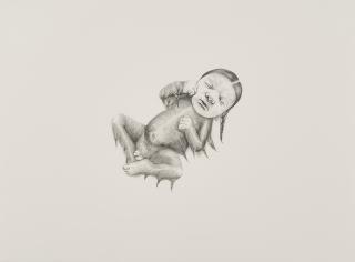 Patricia Piccinini - Newborn with Plaites