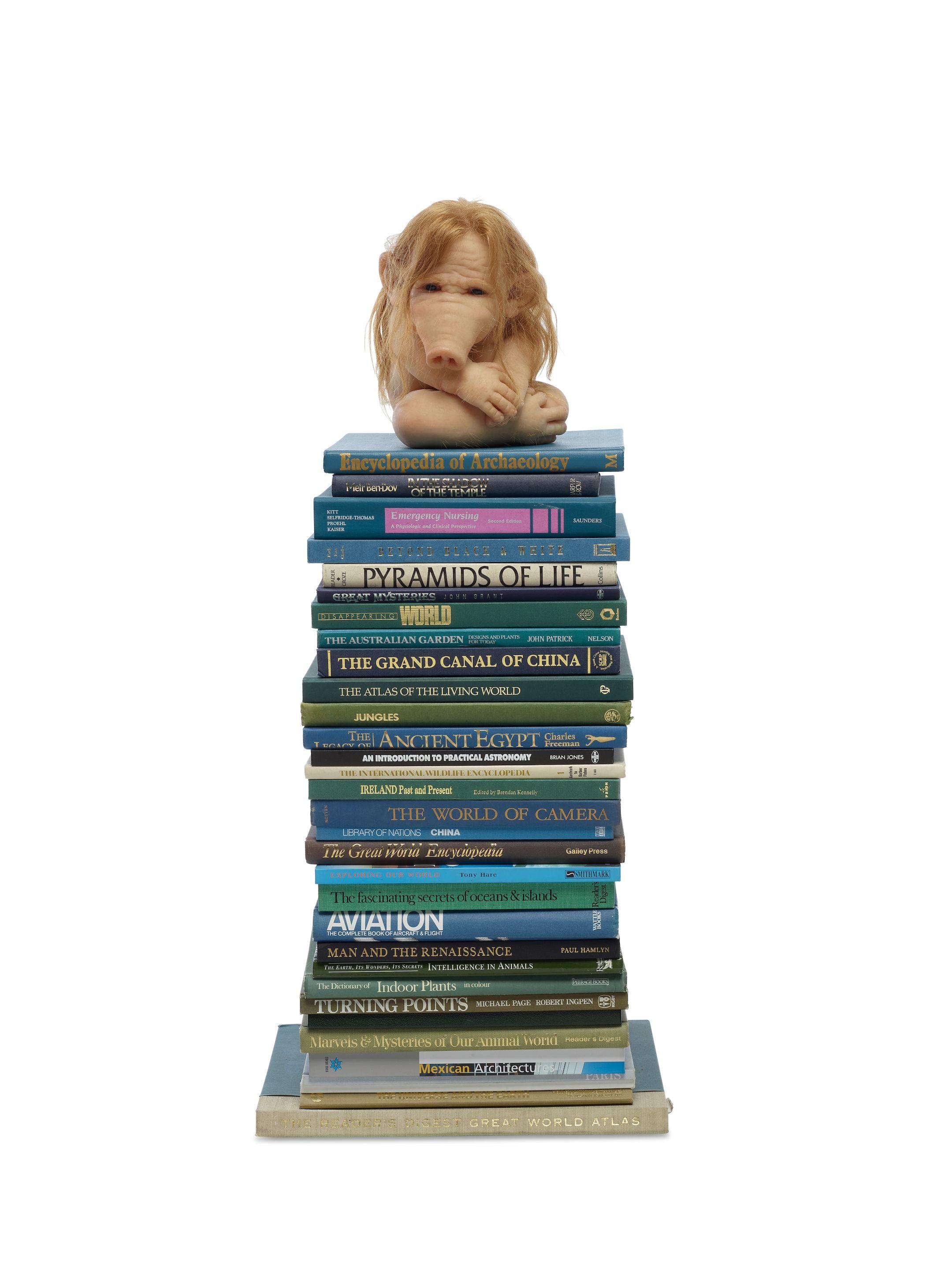 Patricia Piccinini - The Student