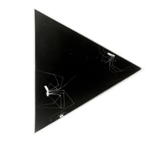 Patrick Bailly-Maître-Grand - Selected Photograms of Spiders