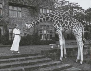Patrick Demarchelier - Girafe Manor Nairobi, 1993
